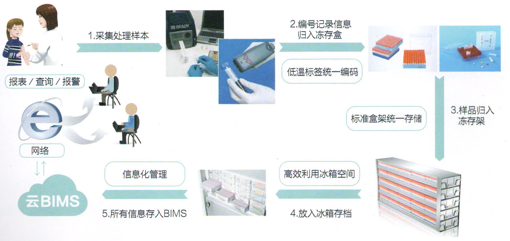 Fluidx自動化樣本處理方案流程