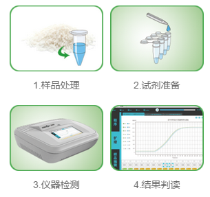 轉(zhuǎn)基因檢測產(chǎn)品操作流程